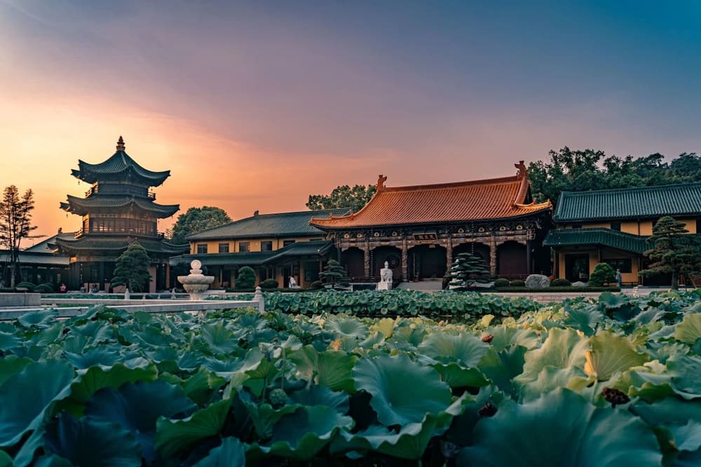 离尘无体，你的心跟谁借来的