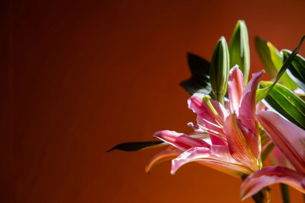 �Ե���ҵ����ǰ���������տ�ʾ