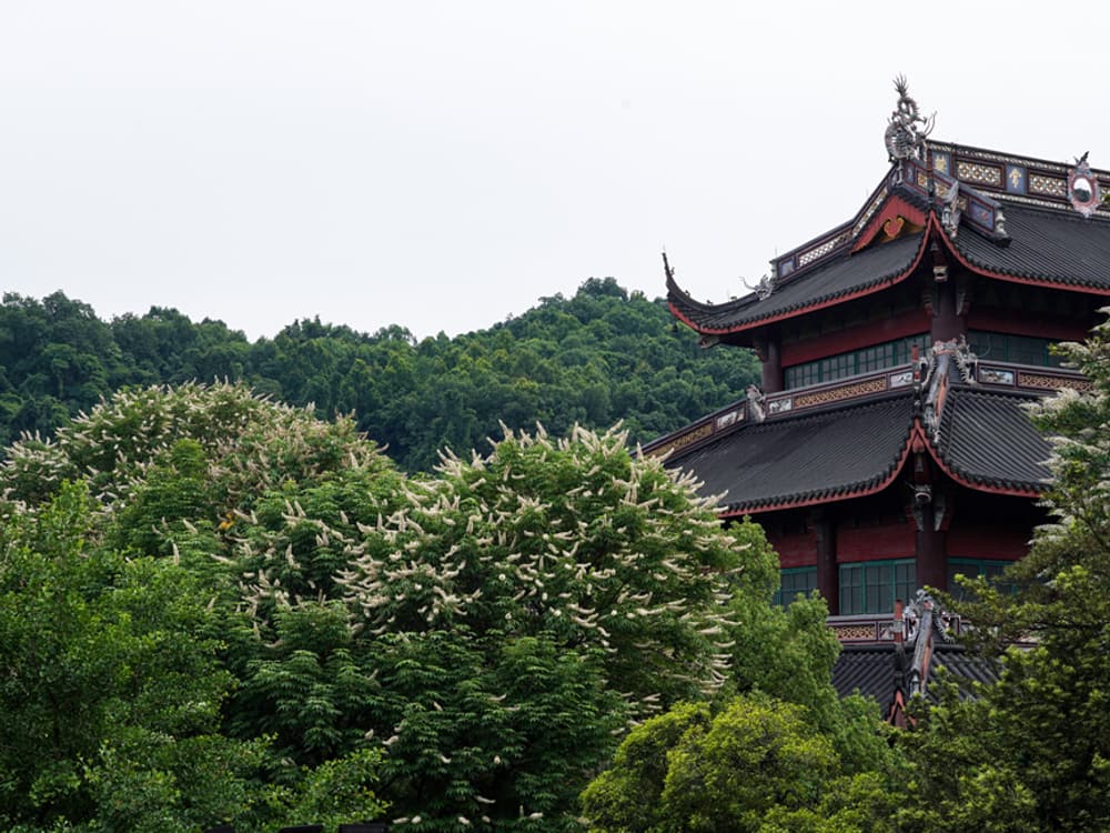 Զ������Ŀ���