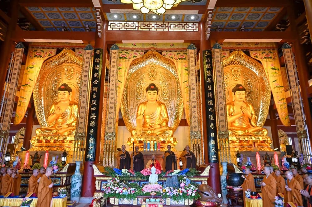 ���ġ������������޲����ʲô��˼