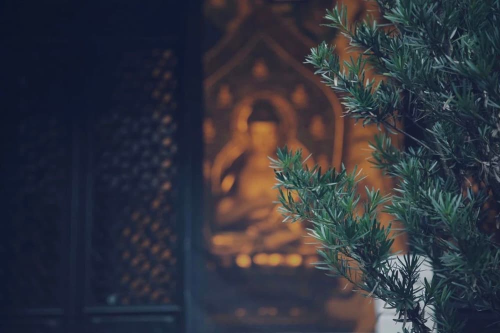 ����Ϊ�࣬����ƣ�ͣ���̰����