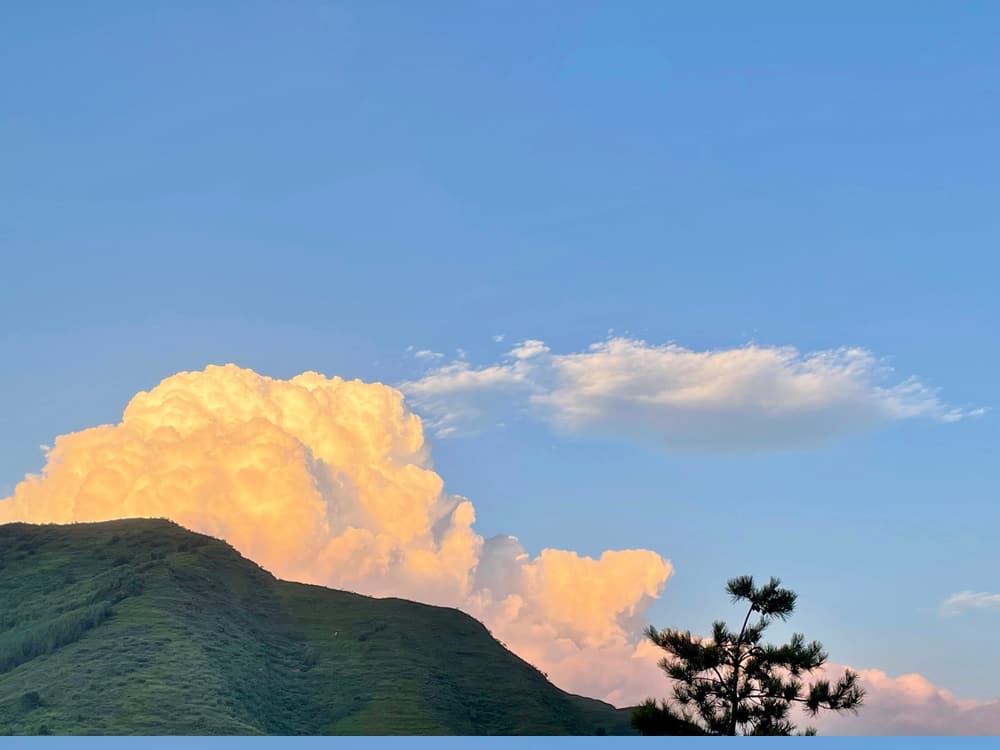 ʲô�ǻ�������