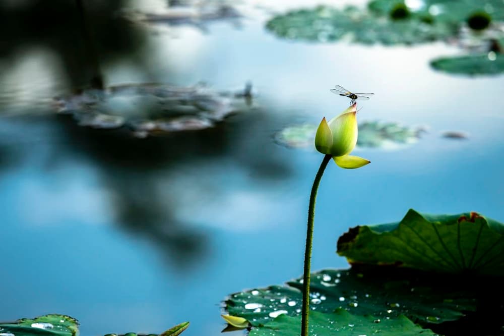 ������ڵĿռ䣺����