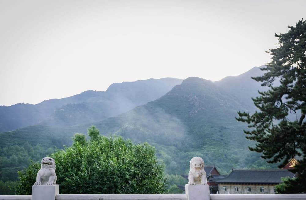 ��¥�����ߵĹ���