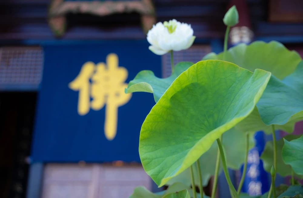 ���Һ�������ʱ��