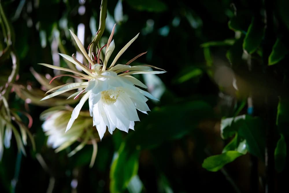 ����Ը��̣�����ʮ��һ��������