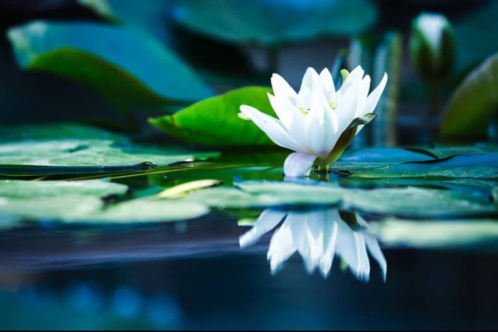 ��һ�µ�ʱ�������������