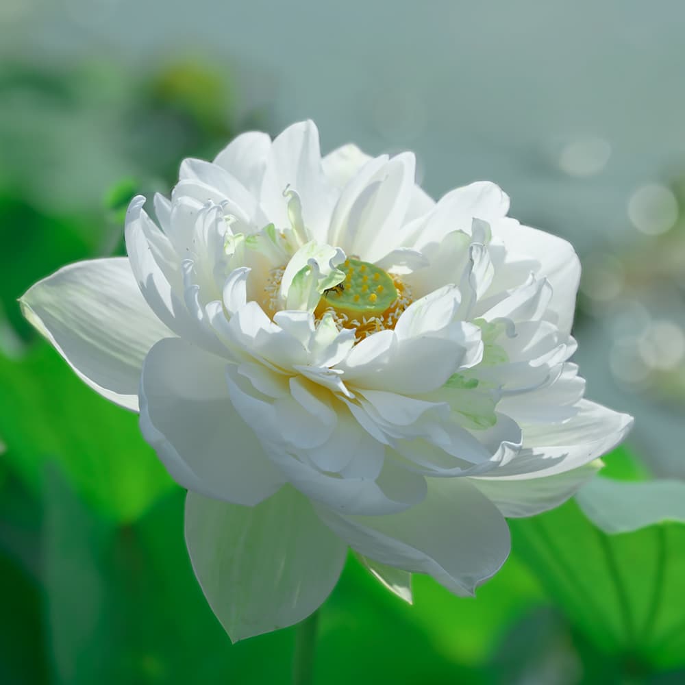 ����Ը����֮�����������Ҳ����һ�Ĳ���