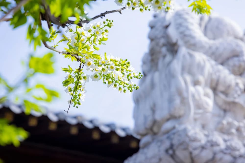 �ŷ���ϲ������һ��Ե��ڼ�