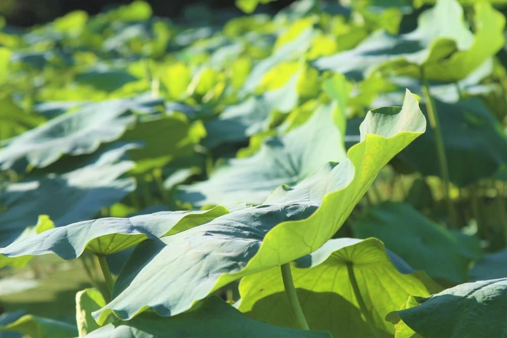 �ȸı����룬�ٸı�ִ�ţ��ٸı�ҵ��