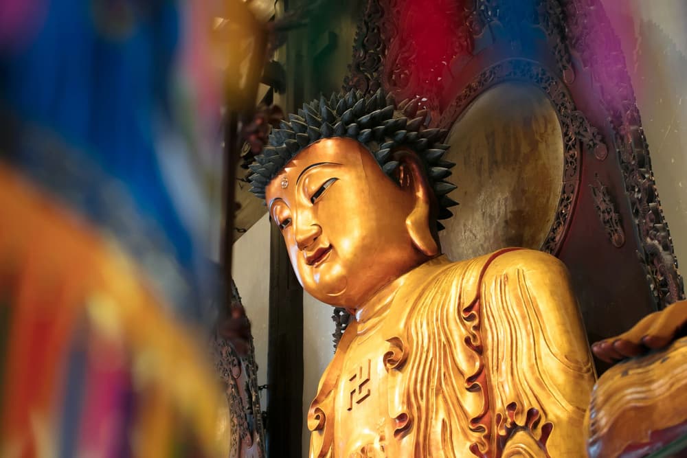 ˵���˼Ҳ���������������