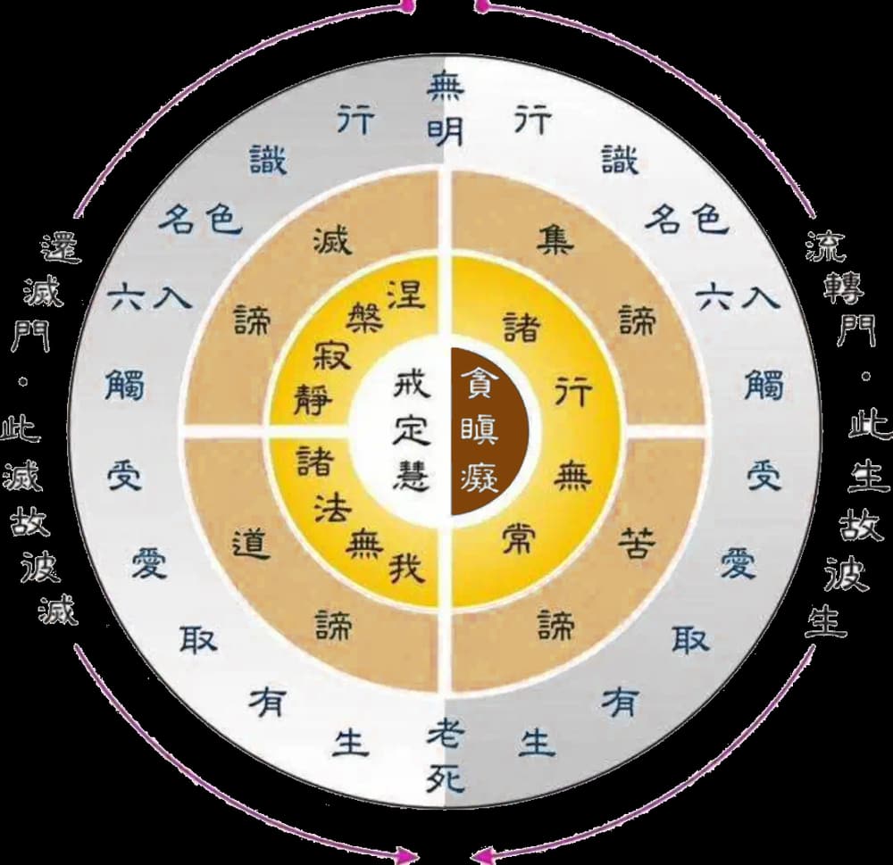 ʮ����Ե���������ֻصľ�������