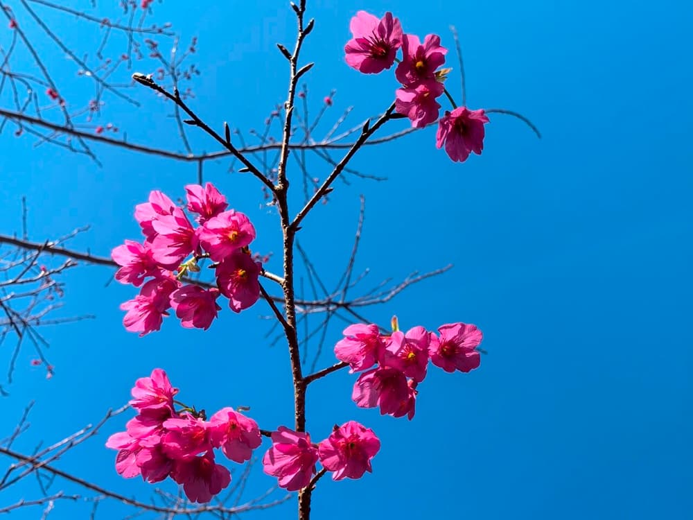 �����������־Ӽҵİ˷�