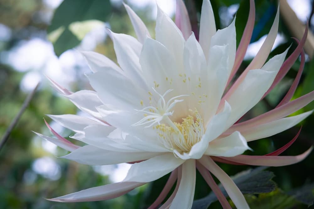 ��Խһ�������ֱ𣬾������һ�п���