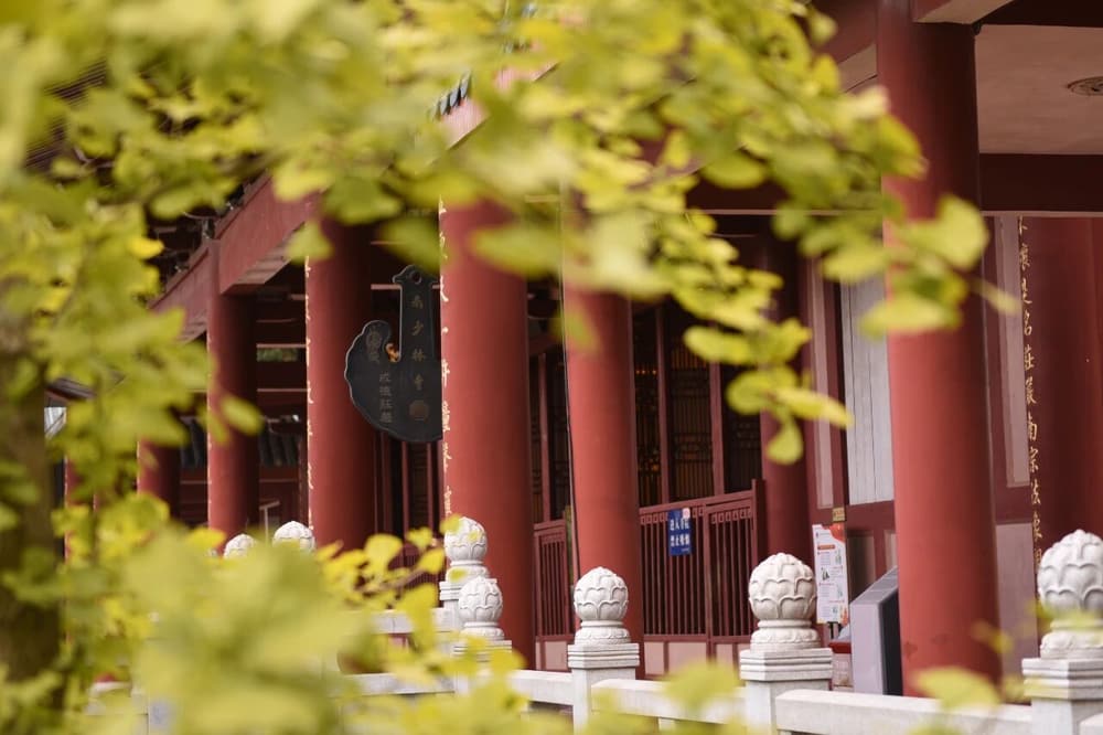 �����������������Ǽ�����