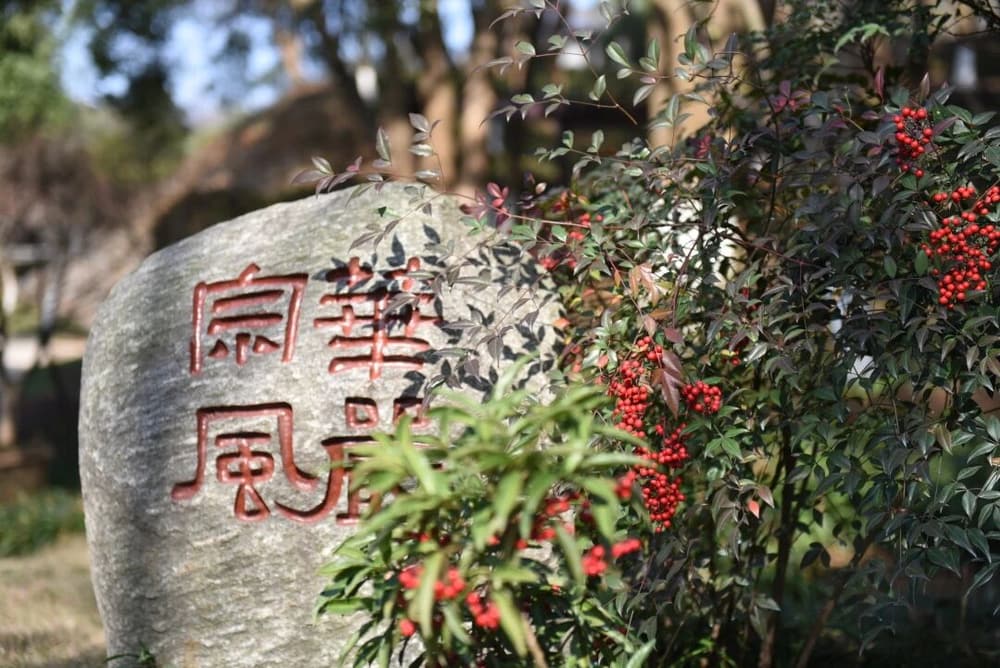 �ڷ��ϲ����ò�����˵��һ��Ҫ˵