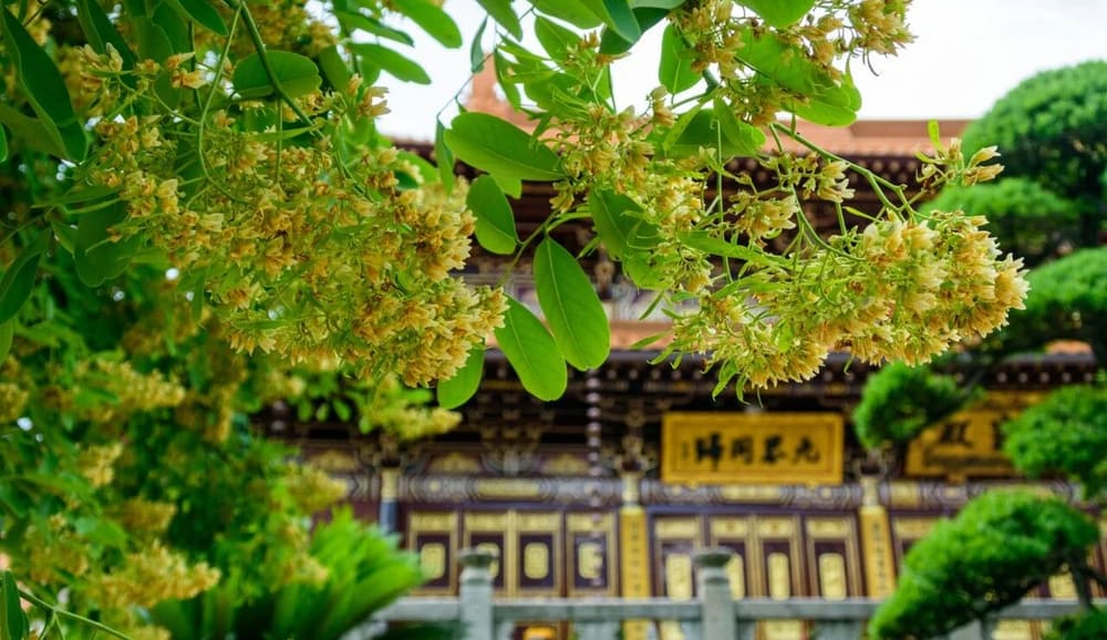 ���е����ʣ���Ҫ���ķ���ִ��