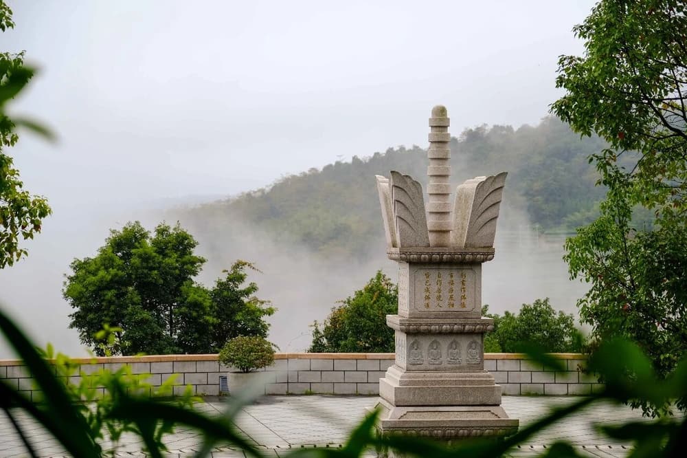 ���Ĺ��������ֹ�ʧ