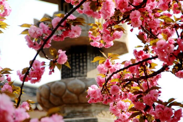 �������������Ĺ����У�����ô����ʤ����