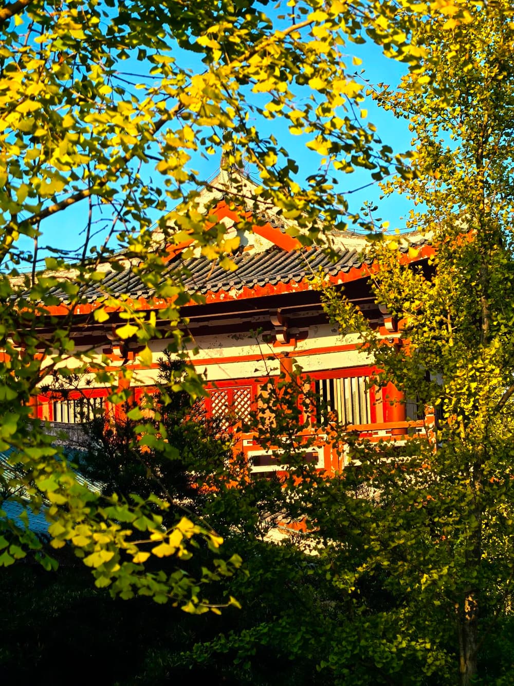 ����Ļ�������������