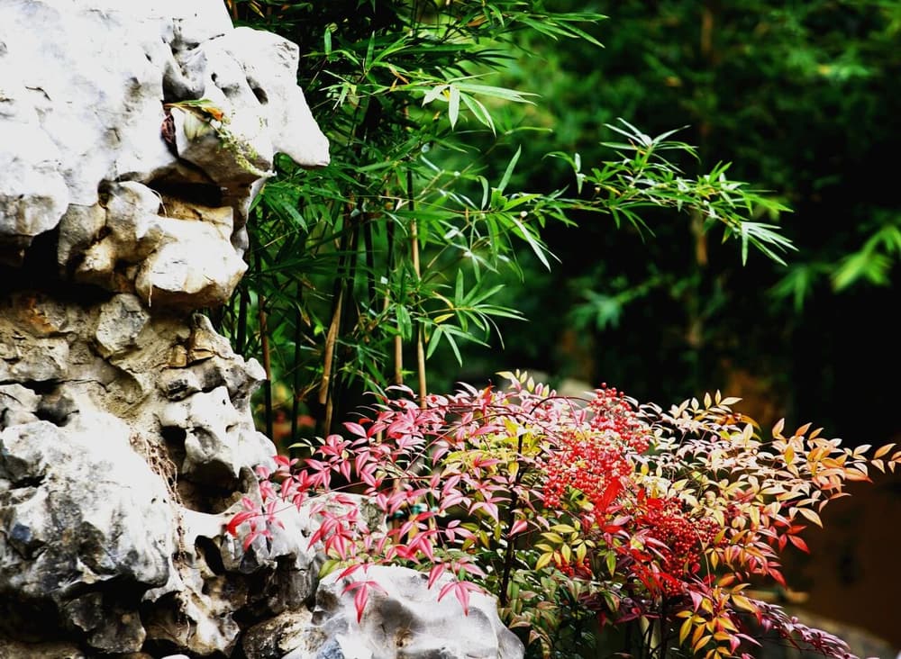 �Է�����̬����������ר�ġ����ġ�������