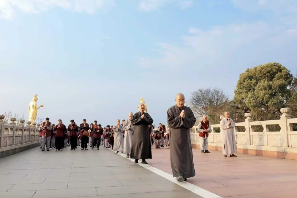 ������������������������