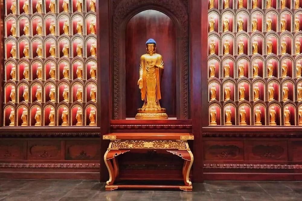 ���˷���ѵ��������������